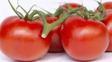 مفاجآت في أسعار الخضروات اليوم: انخفاض البصل الأبيض واستقرار سعر الطماطم